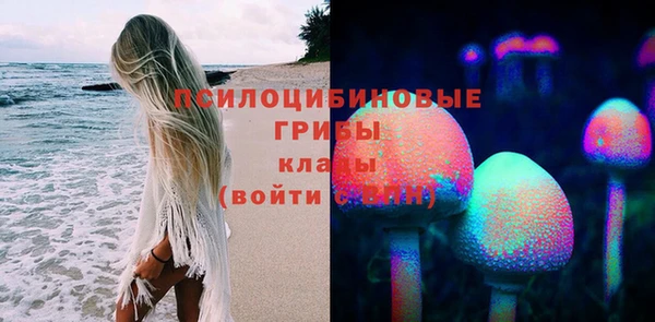 СК Михайловка