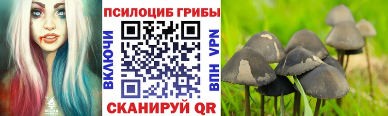 Галлюциногенные грибы мицелий  Нолинск 
